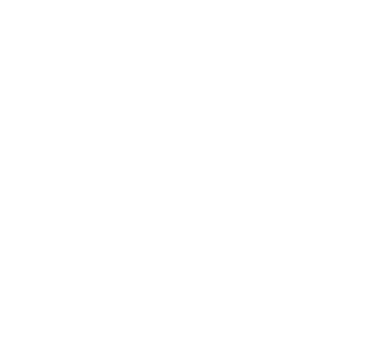 logo gesao blanc