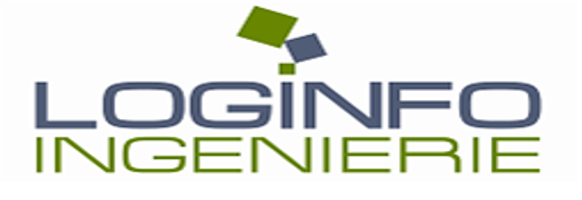 LOGINFO INGERIERIE